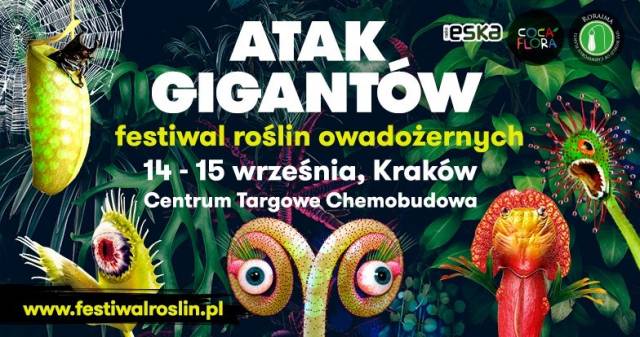 Festiwal Roślin Owadożernych, Chemobudowa, Kraków