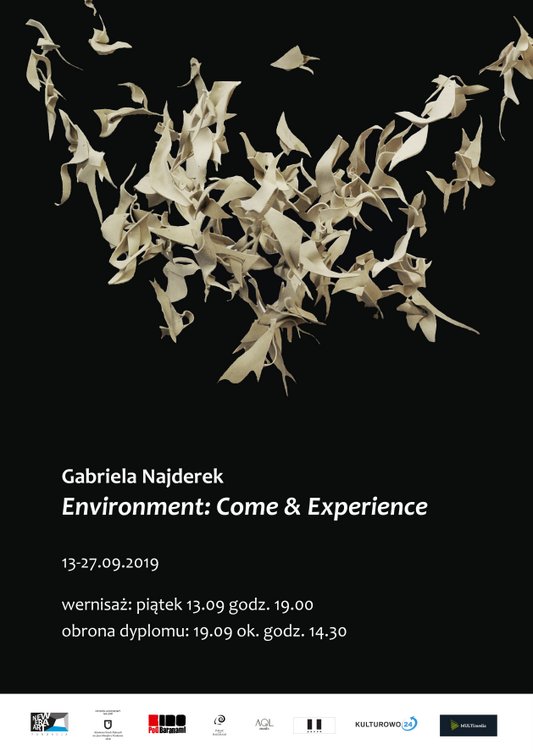 Gabriela Najderek, New Era Art, Kraków
